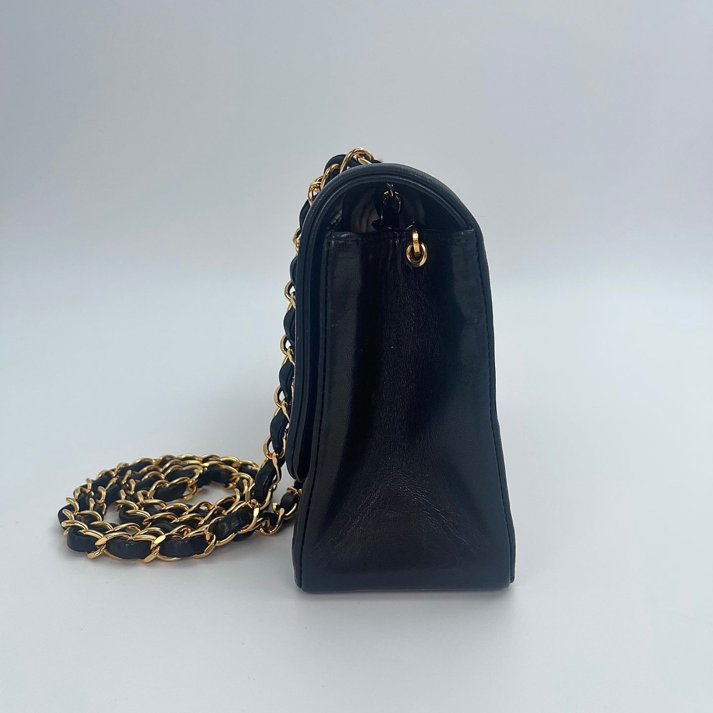 Chanel Diana Small Flap Bag[Used]