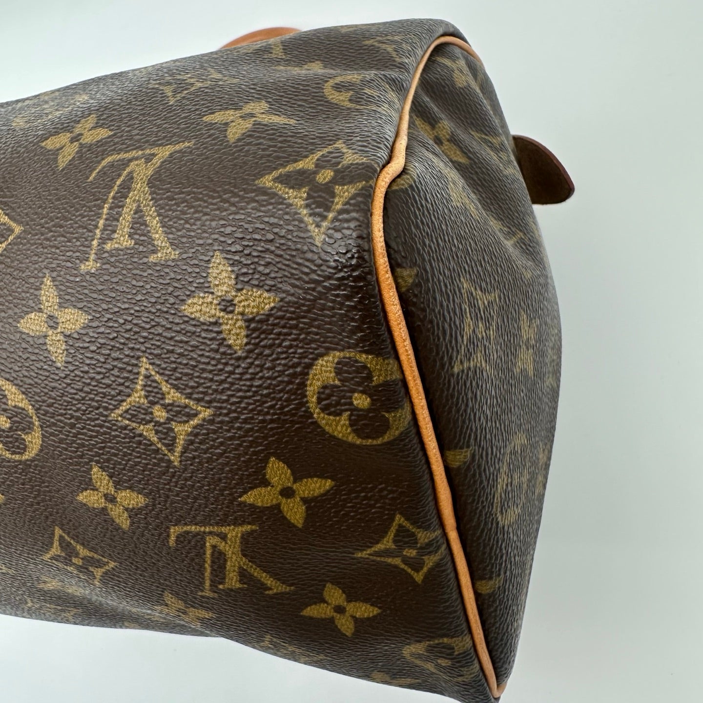 Louis Vuitton Speedy 25 Monogram Canvas [Used]