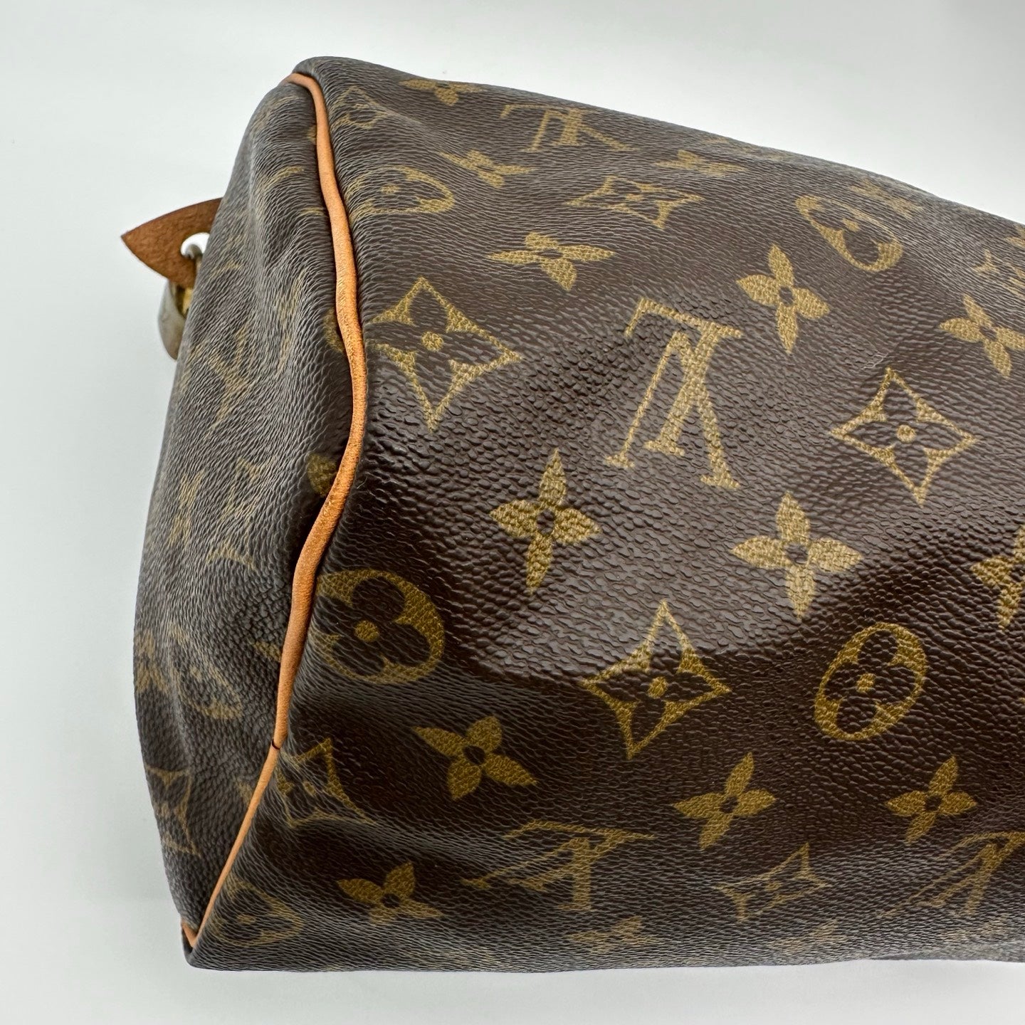Louis Vuitton Speedy 25 Monogram Canvas [Used]