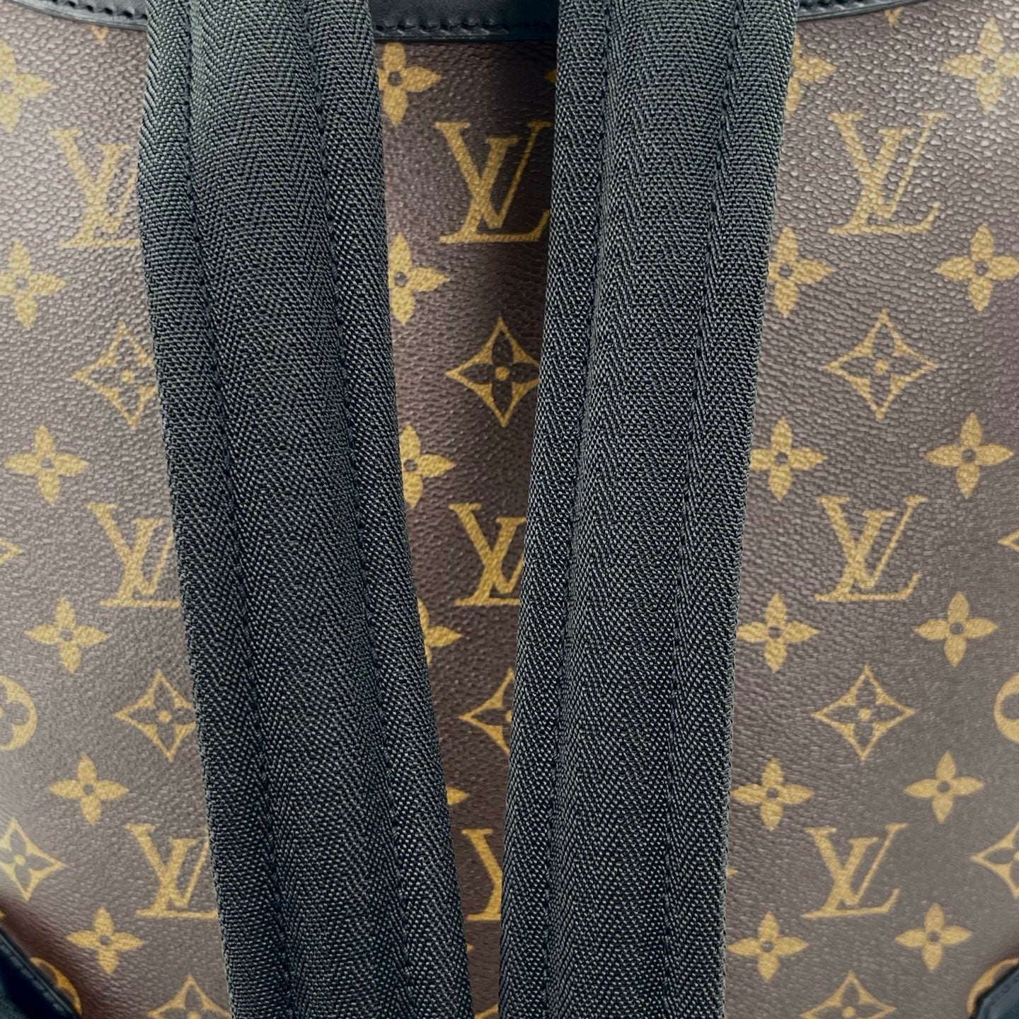 Louis Vuitton Palk Monogram Backpack [Used]