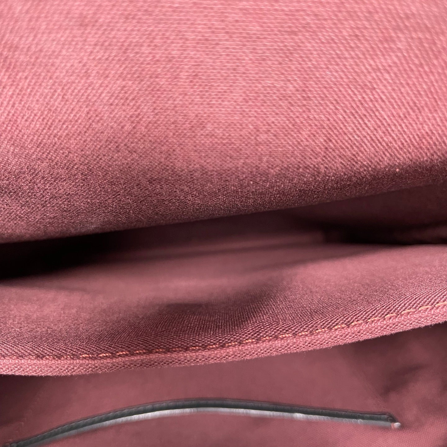 Louis Vuitton Palk Monogram Backpack [Used]