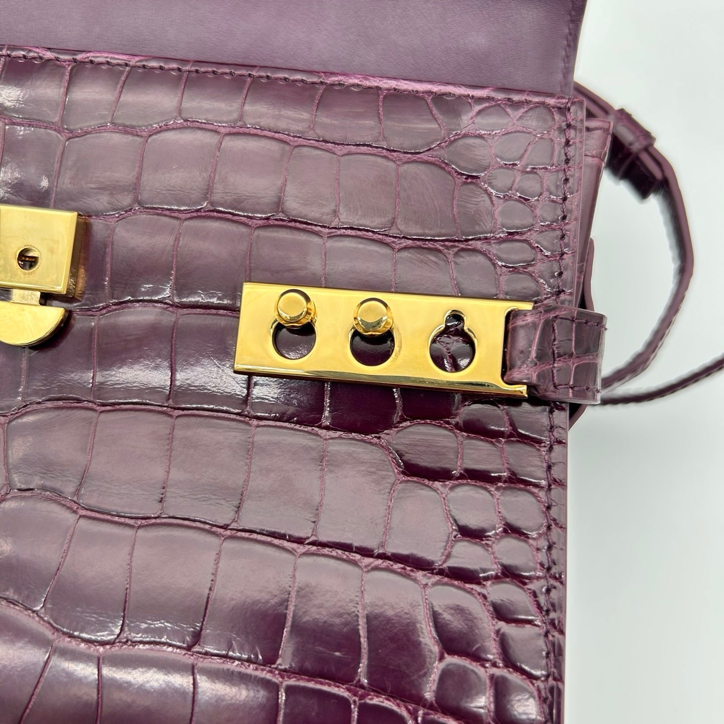 Delvaux Tempête Crocodile Leather Burgundy 2WAY Handbag 21 × 15 × 8 cm [Used]