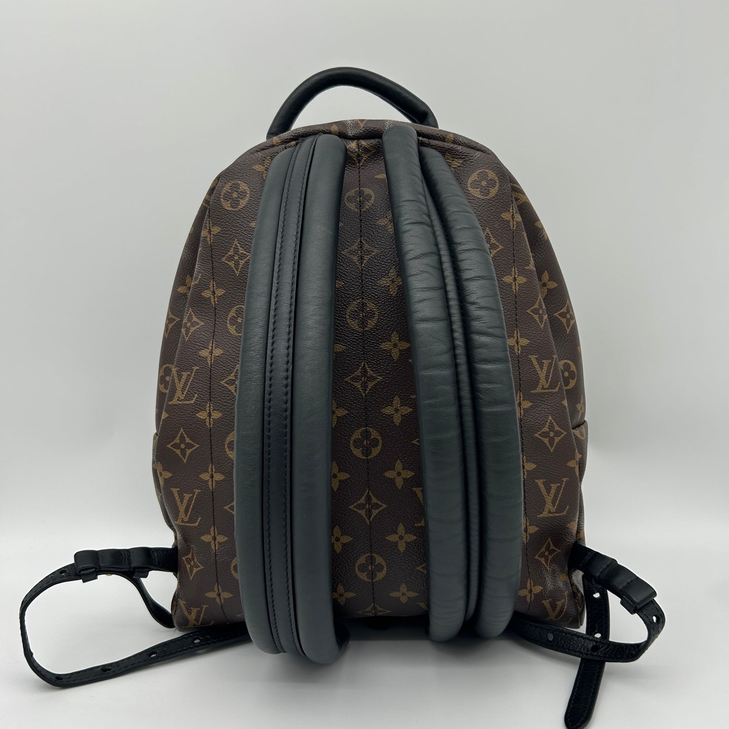 Louis Vuitton Monogram Palm Springs Backpack [Used]