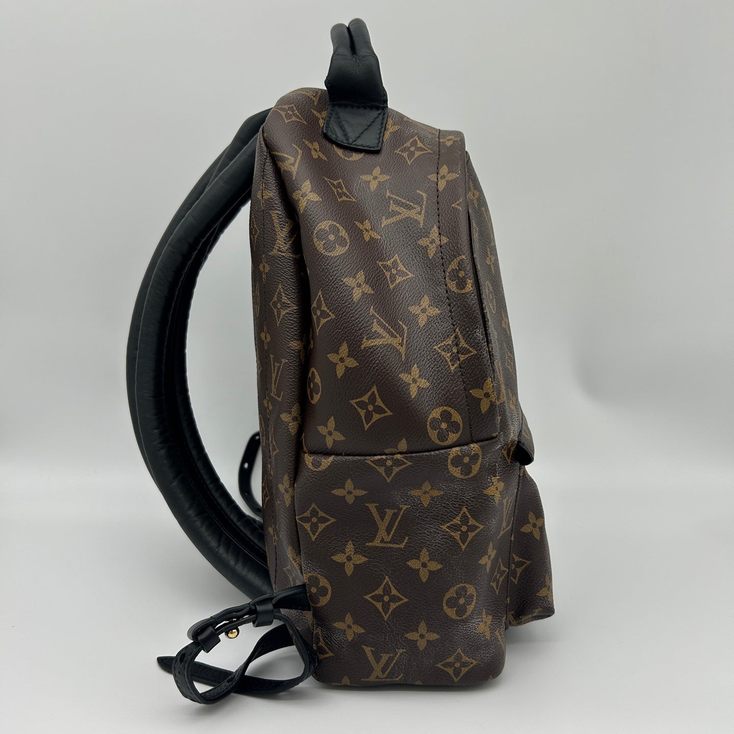 Louis Vuitton Monogram Palm Springs Backpack [Used]