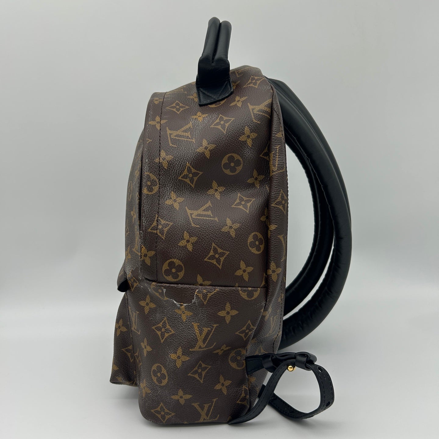 Louis Vuitton Monogram Palm Springs Backpack [Used]