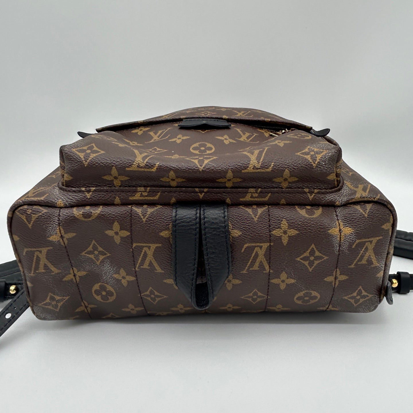 Louis Vuitton Monogram Palm Springs Backpack [Used]