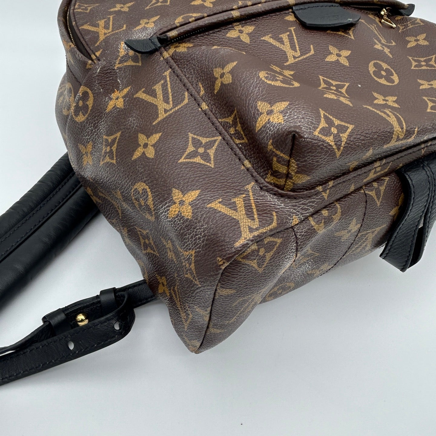 Louis Vuitton Monogram Palm Springs Backpack [Used]