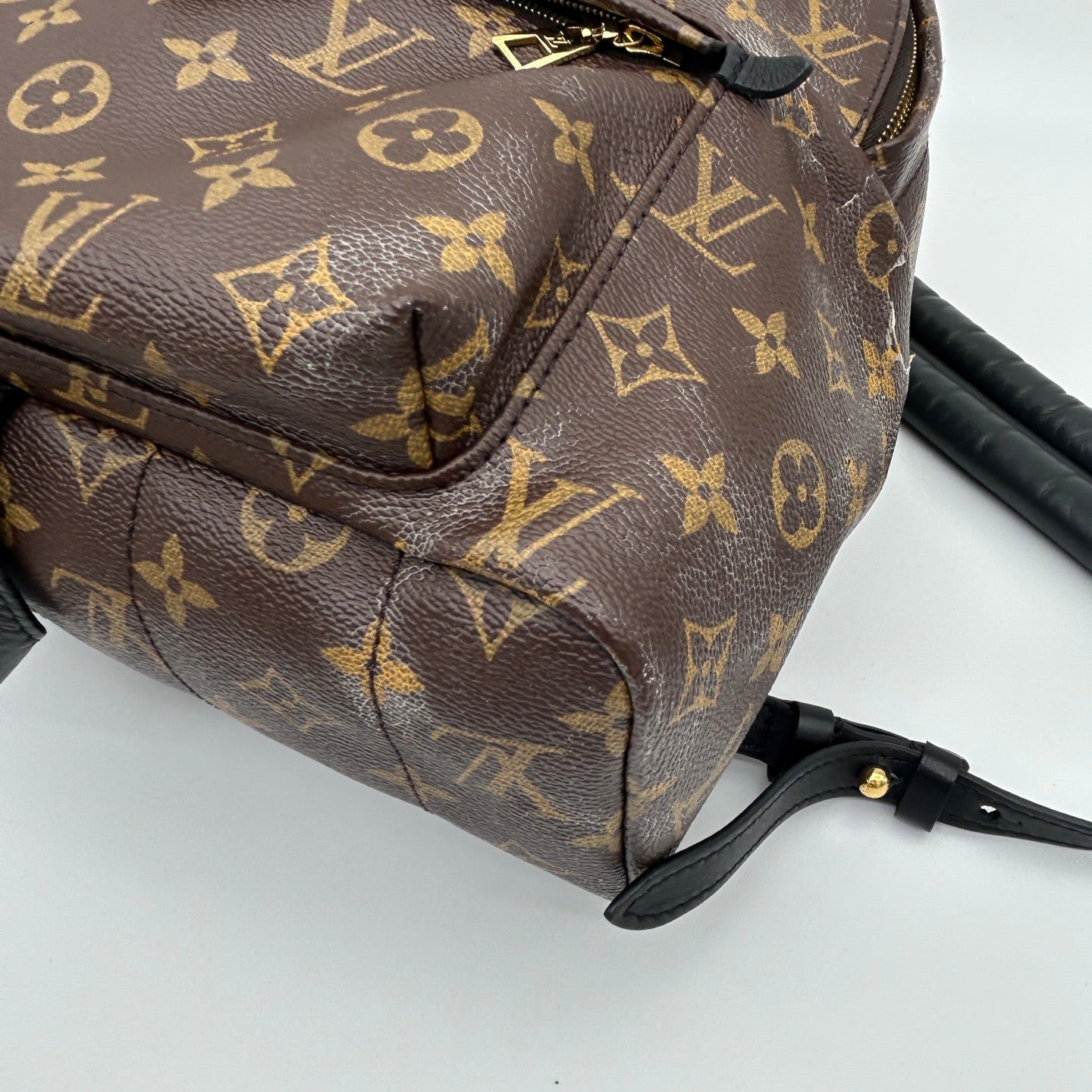Louis Vuitton Monogram Palm Springs Backpack [Used]