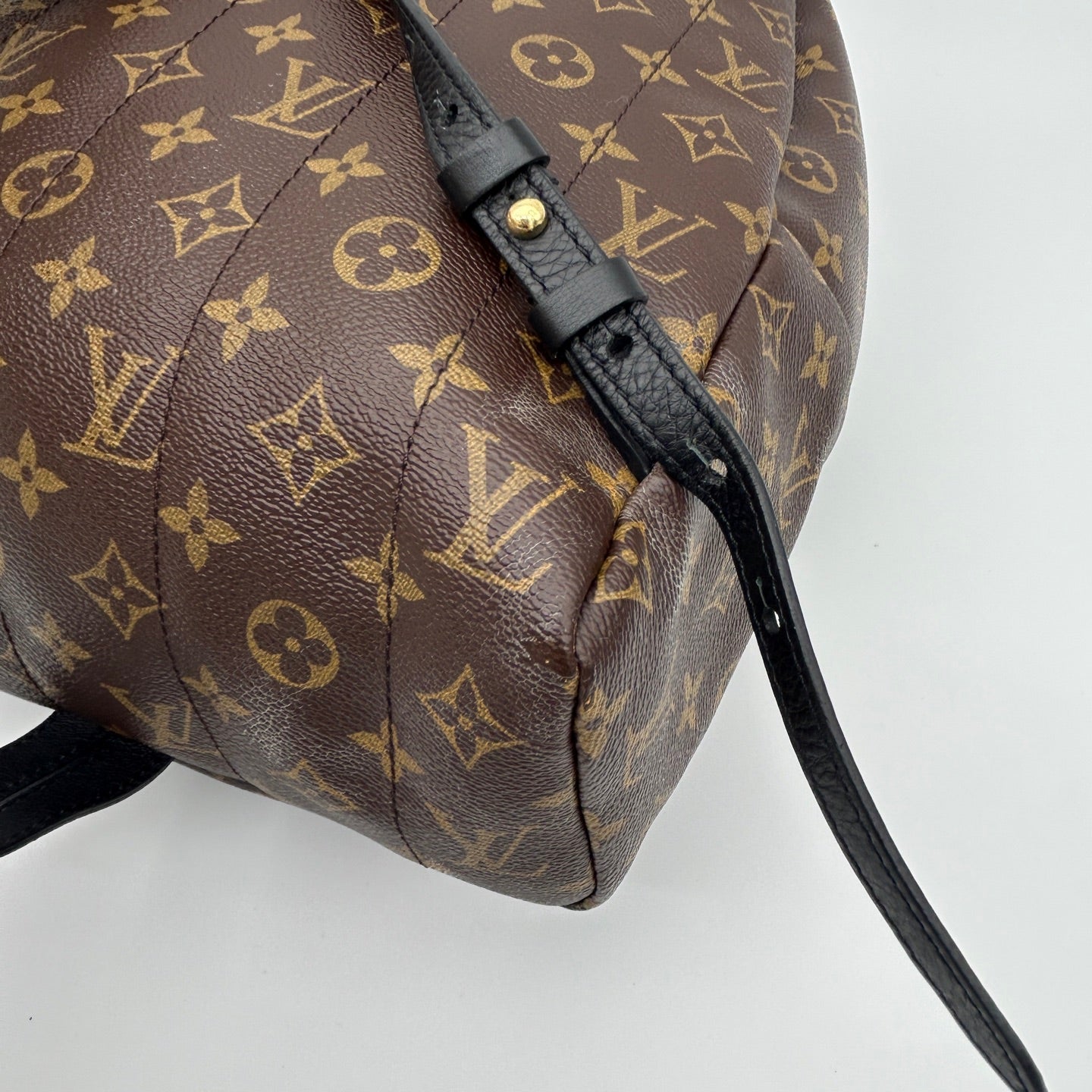 Louis Vuitton Monogram Palm Springs Backpack [Used]