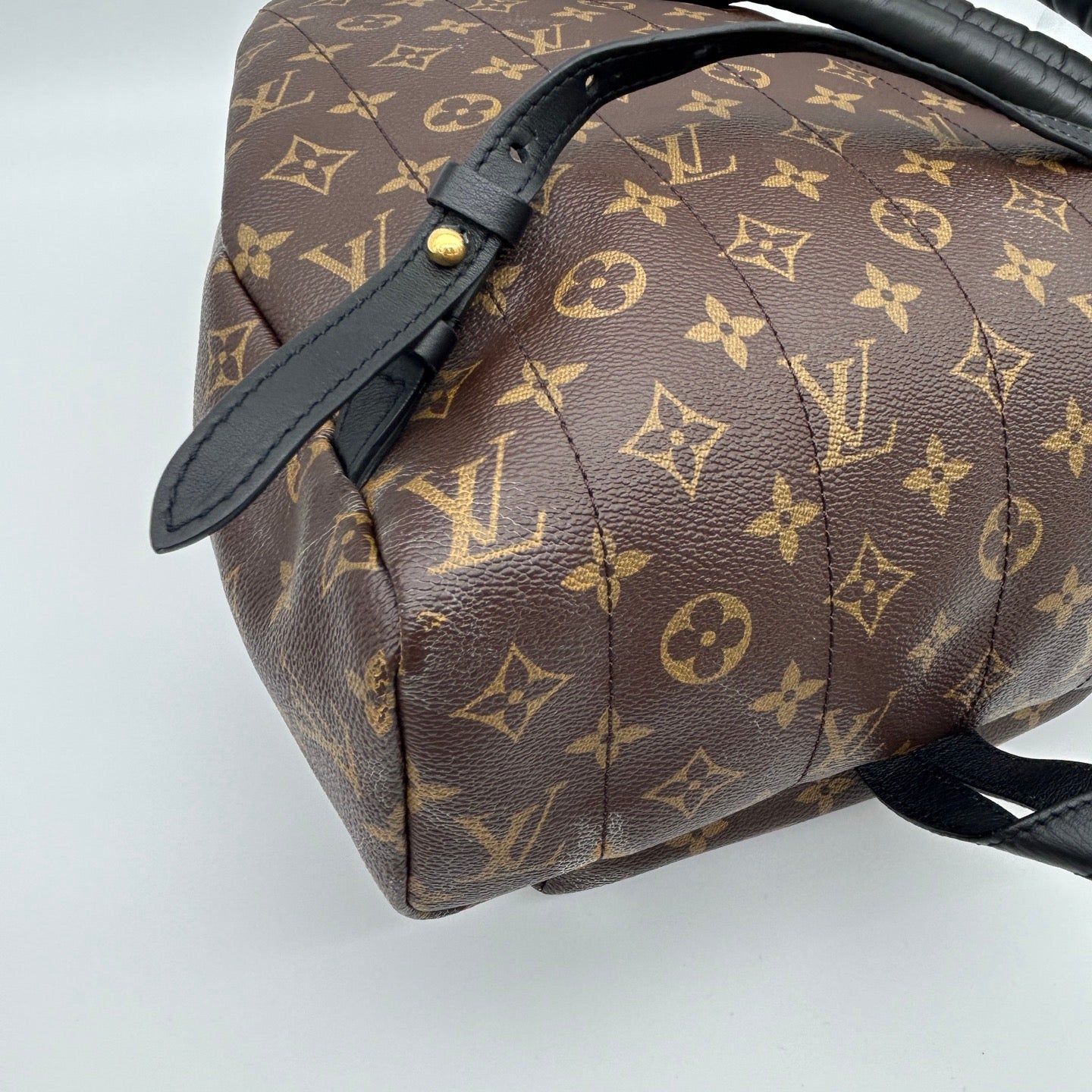 Louis Vuitton Monogram Palm Springs Backpack [Used]