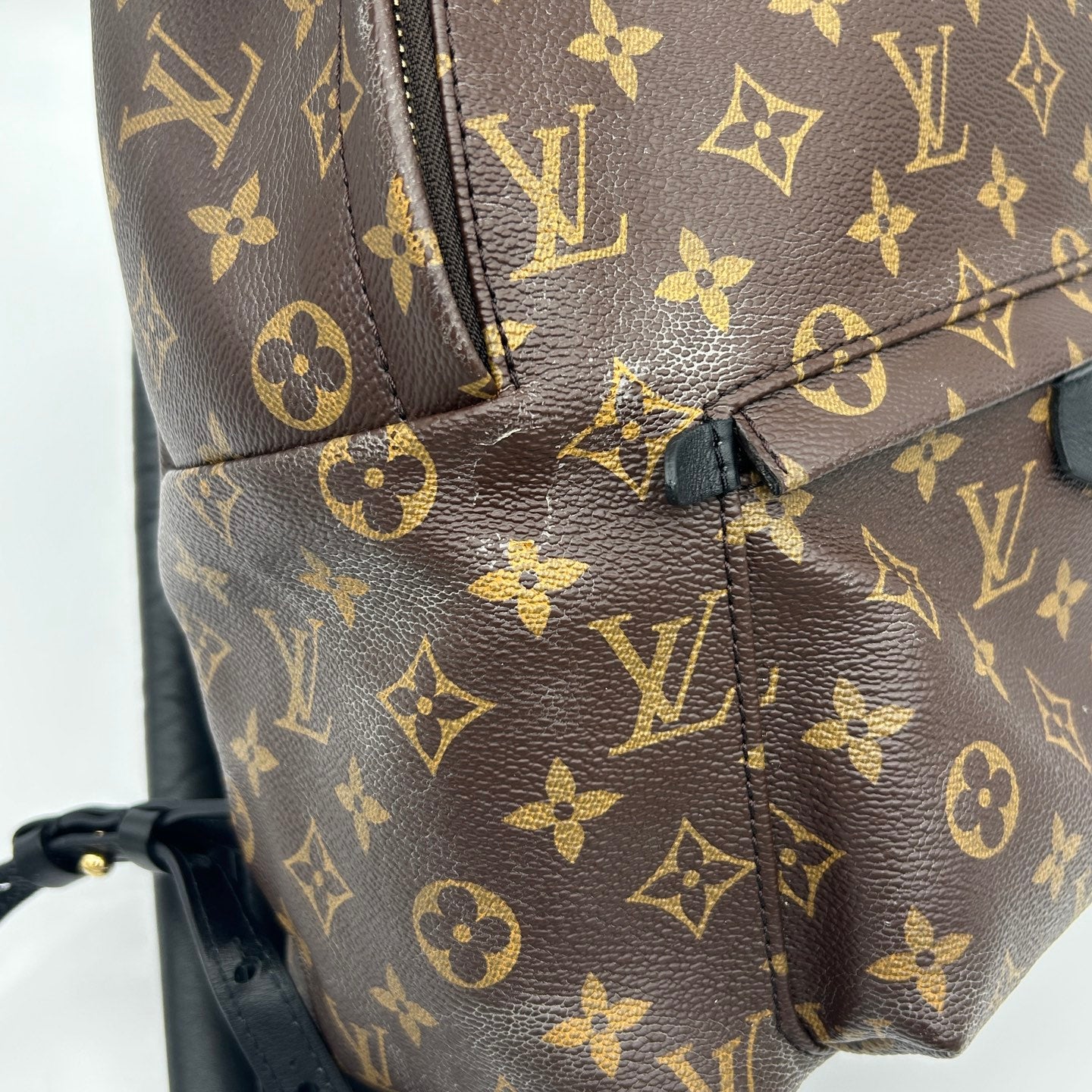 Louis Vuitton Monogram Palm Springs Backpack [Used]