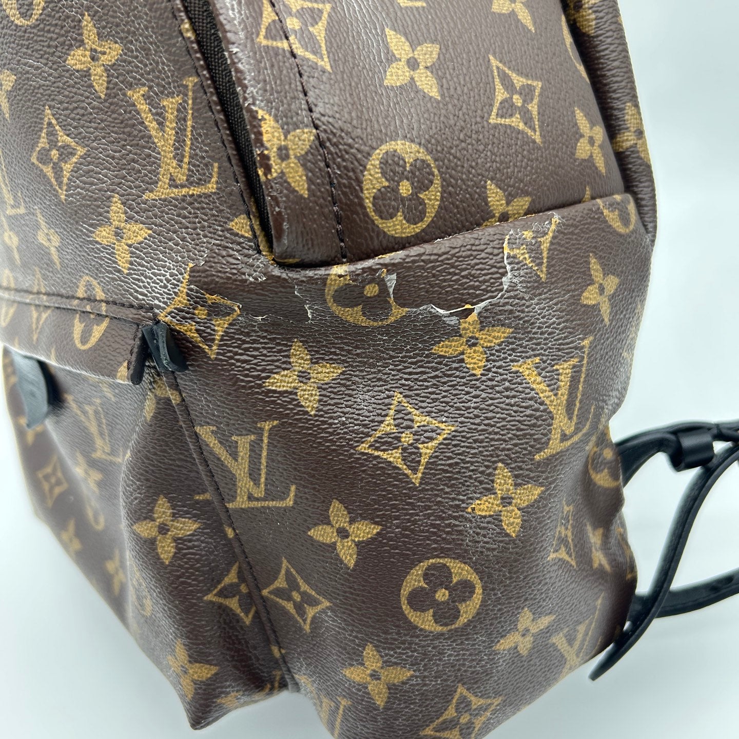 Louis Vuitton Monogram Palm Springs Backpack [Used]