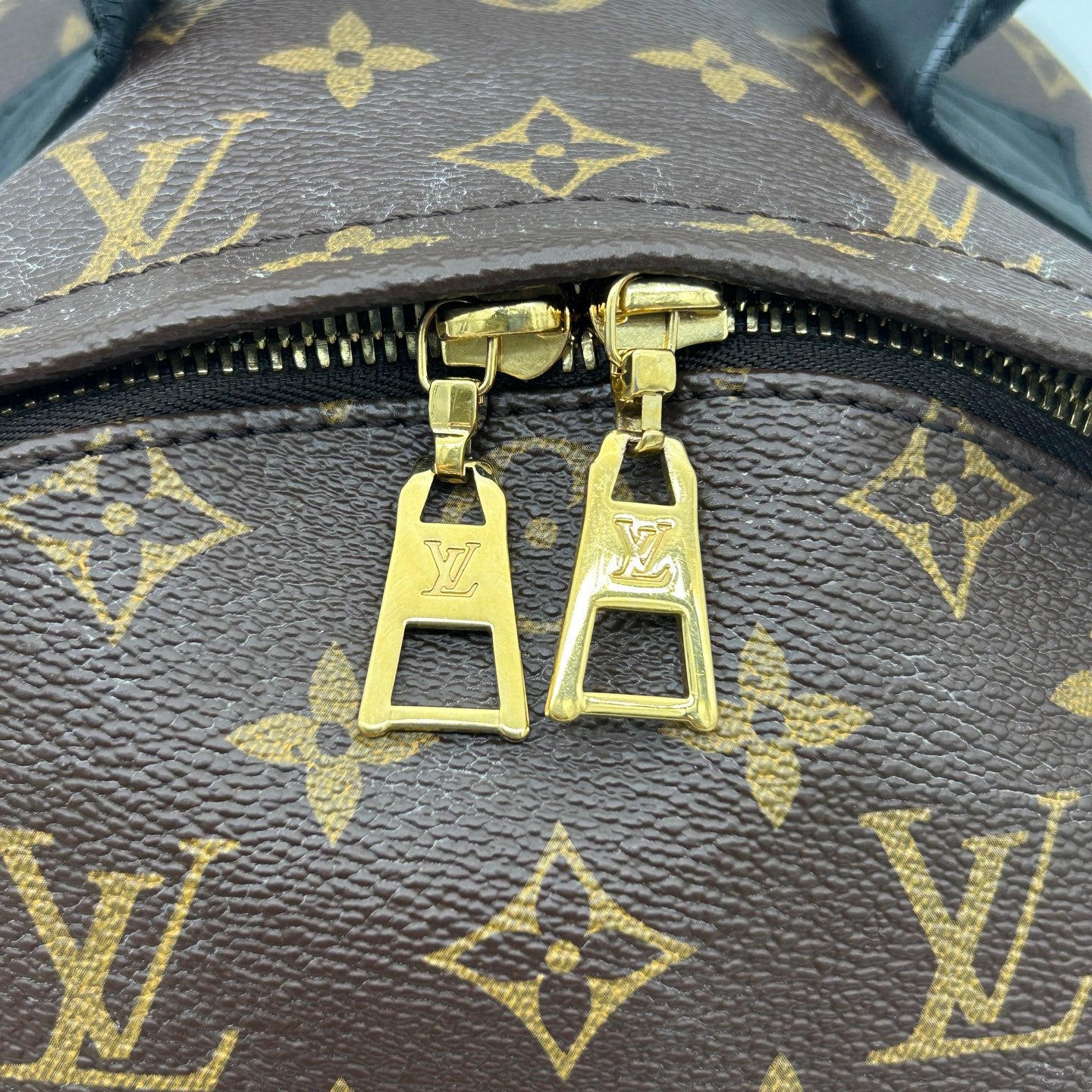 Louis Vuitton Monogram Palm Springs Backpack [Used]