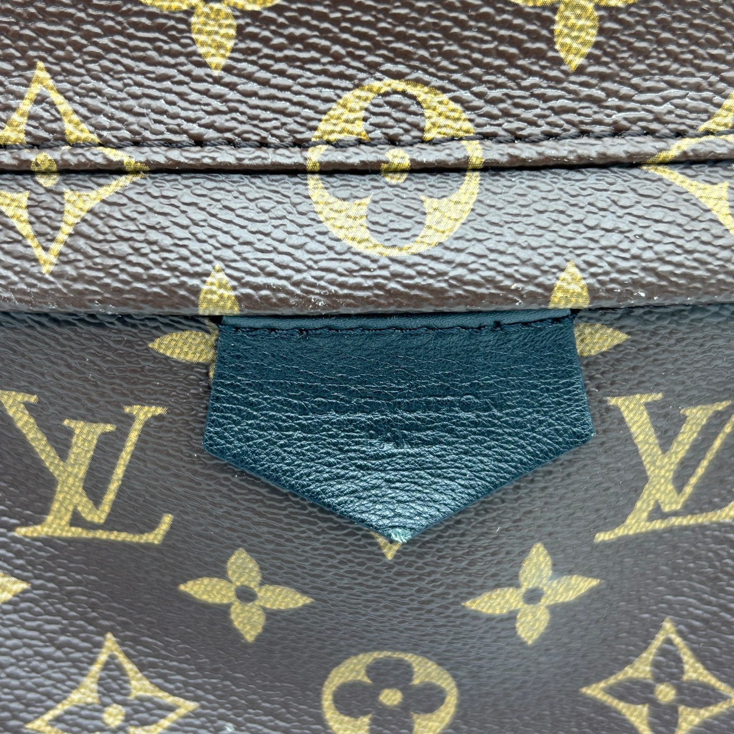 Louis Vuitton Monogram Palm Springs Backpack [Used]