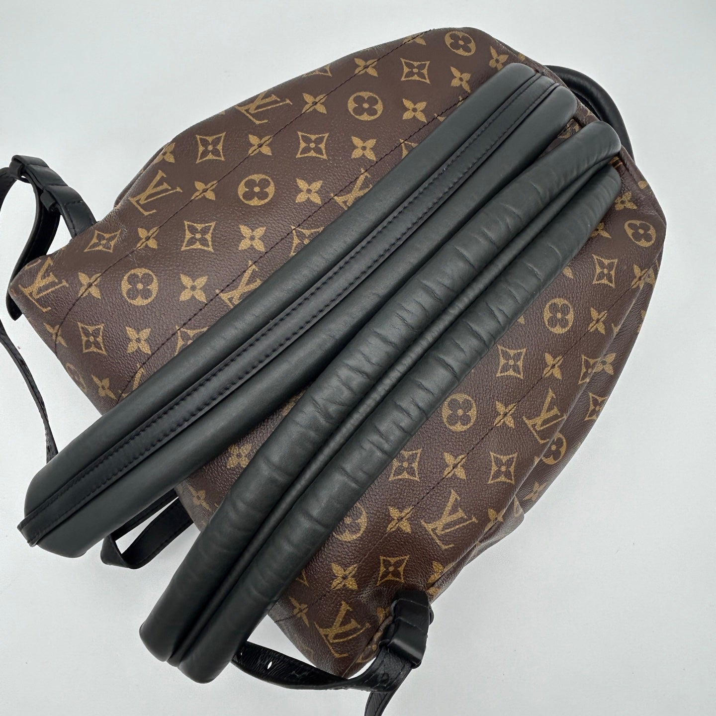 Louis Vuitton Monogram Palm Springs Backpack [Used]