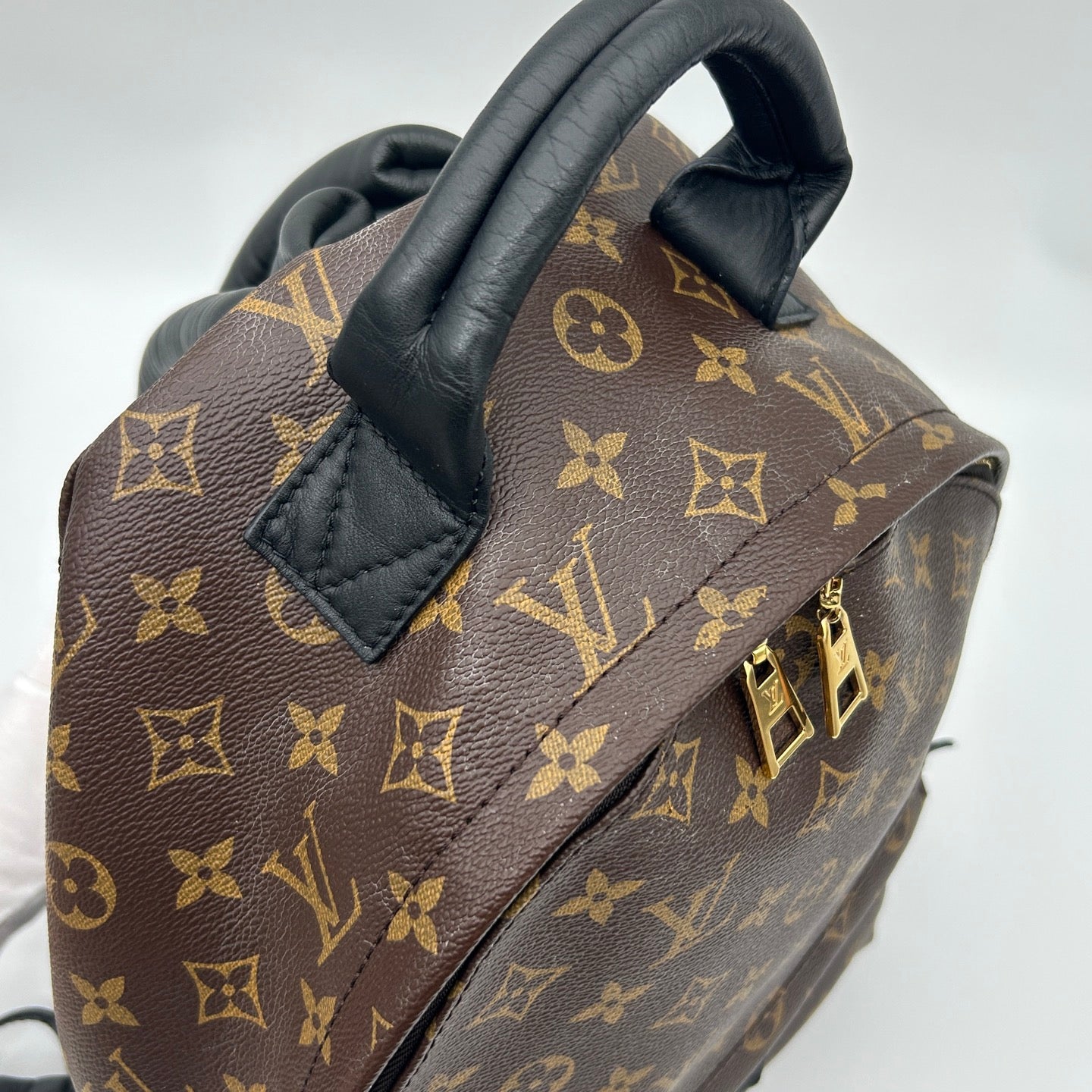 Louis Vuitton Monogram Palm Springs Backpack [Used]