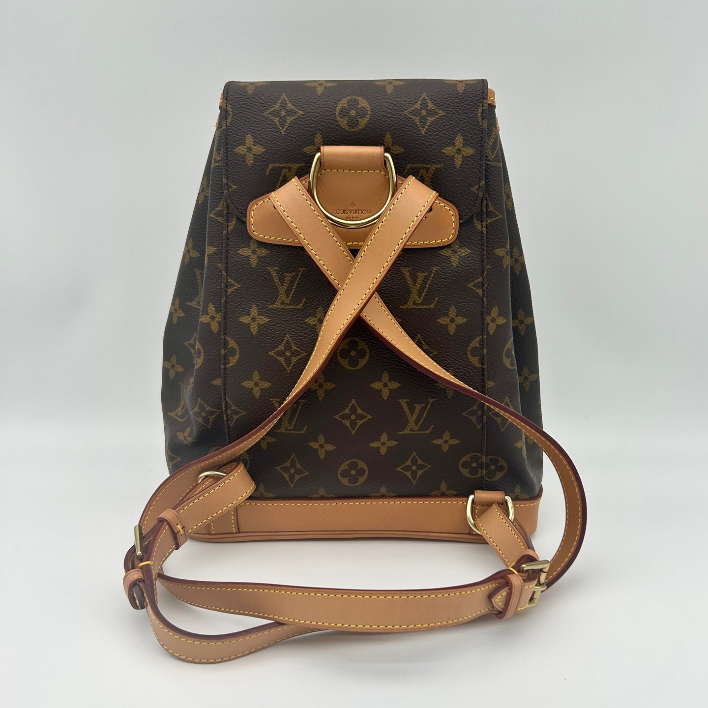 Louis Vuitton Monogram Montsouris MM Backpack [Used]