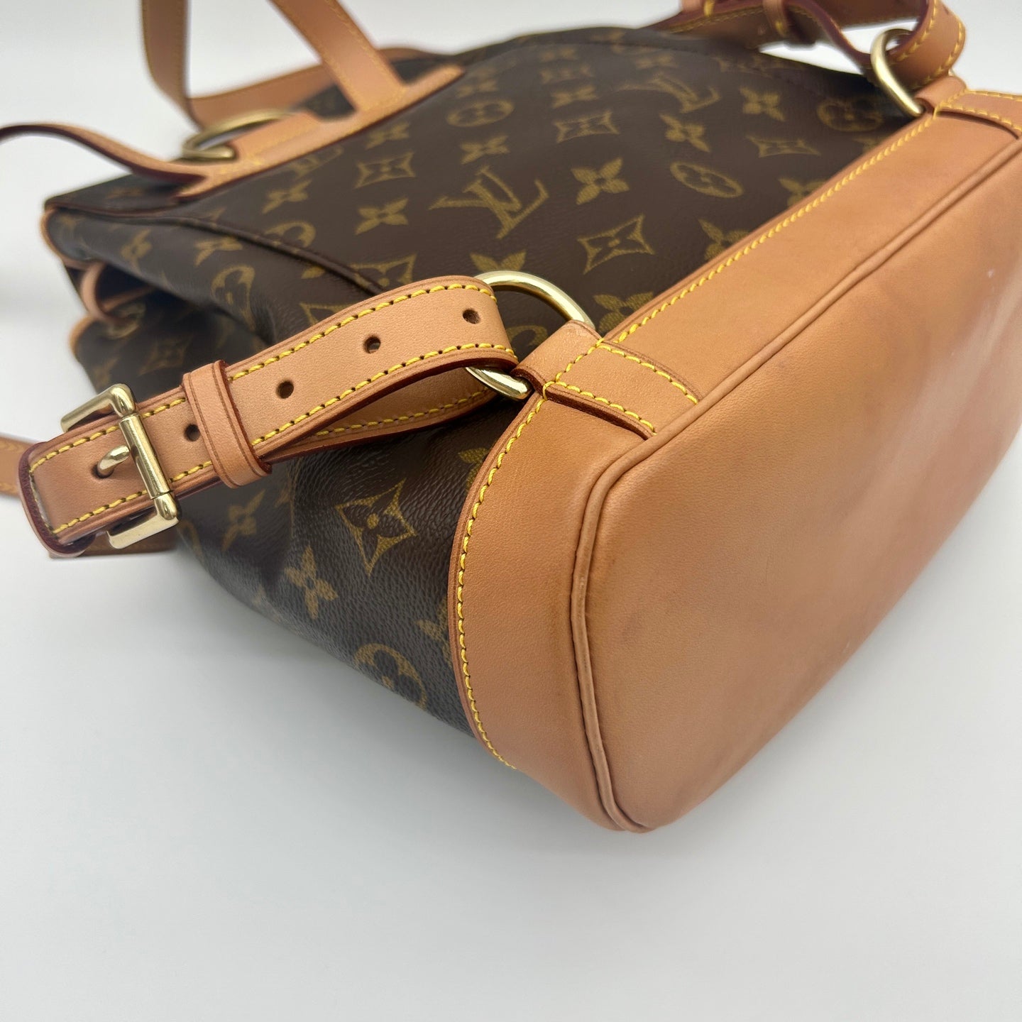 Louis Vuitton Monogram Montsouris MM Backpack [Used]