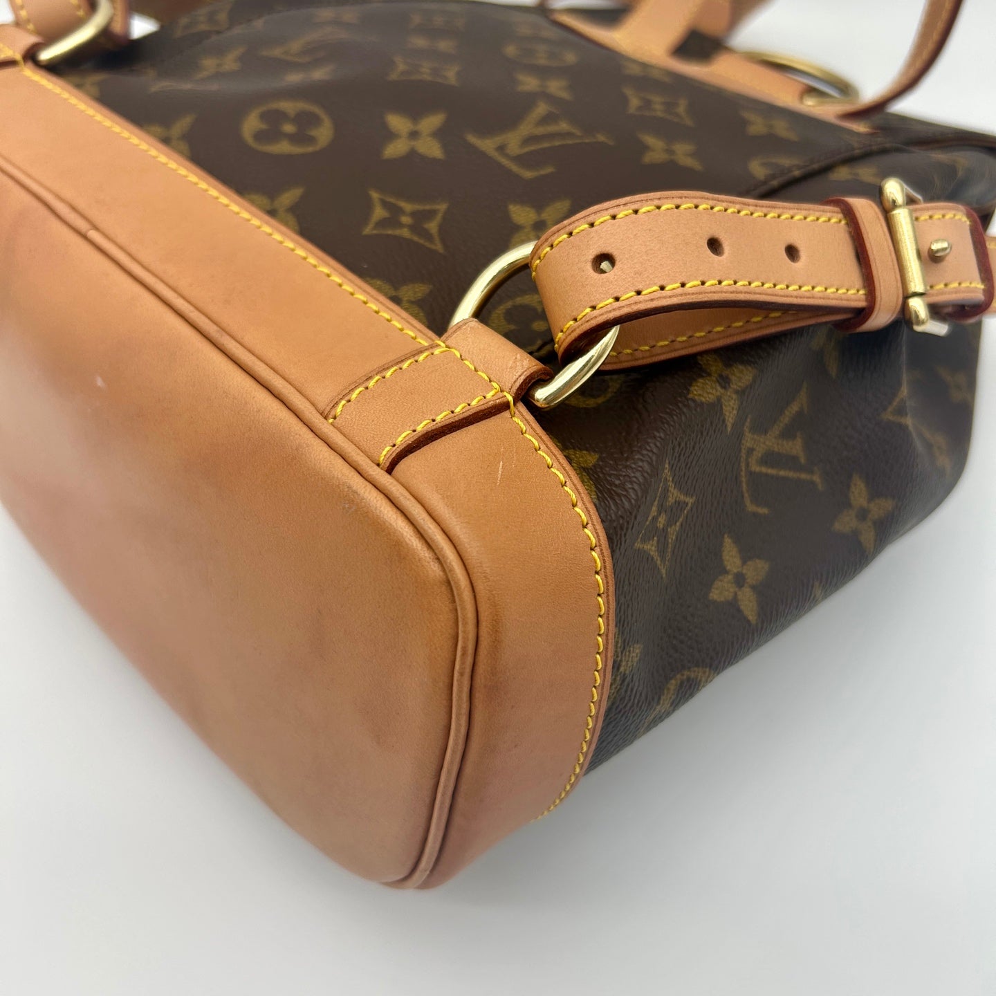 Louis Vuitton Monogram Montsouris MM Backpack [Used]