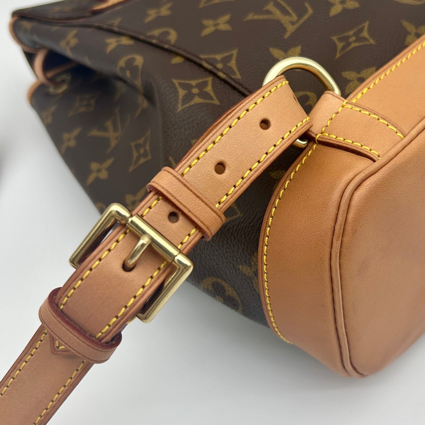 Louis Vuitton Monogram Montsouris MM Backpack [Used]