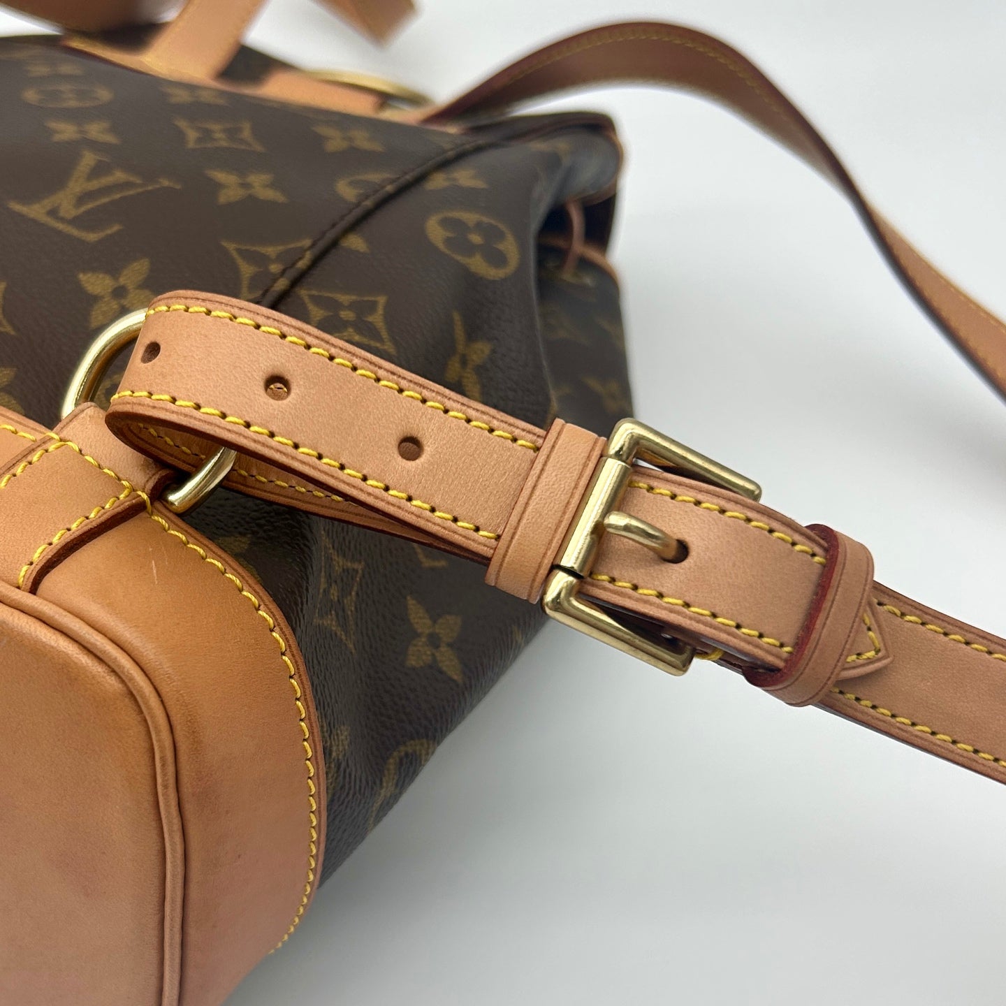 Louis Vuitton Monogram Montsouris MM Backpack [Used]