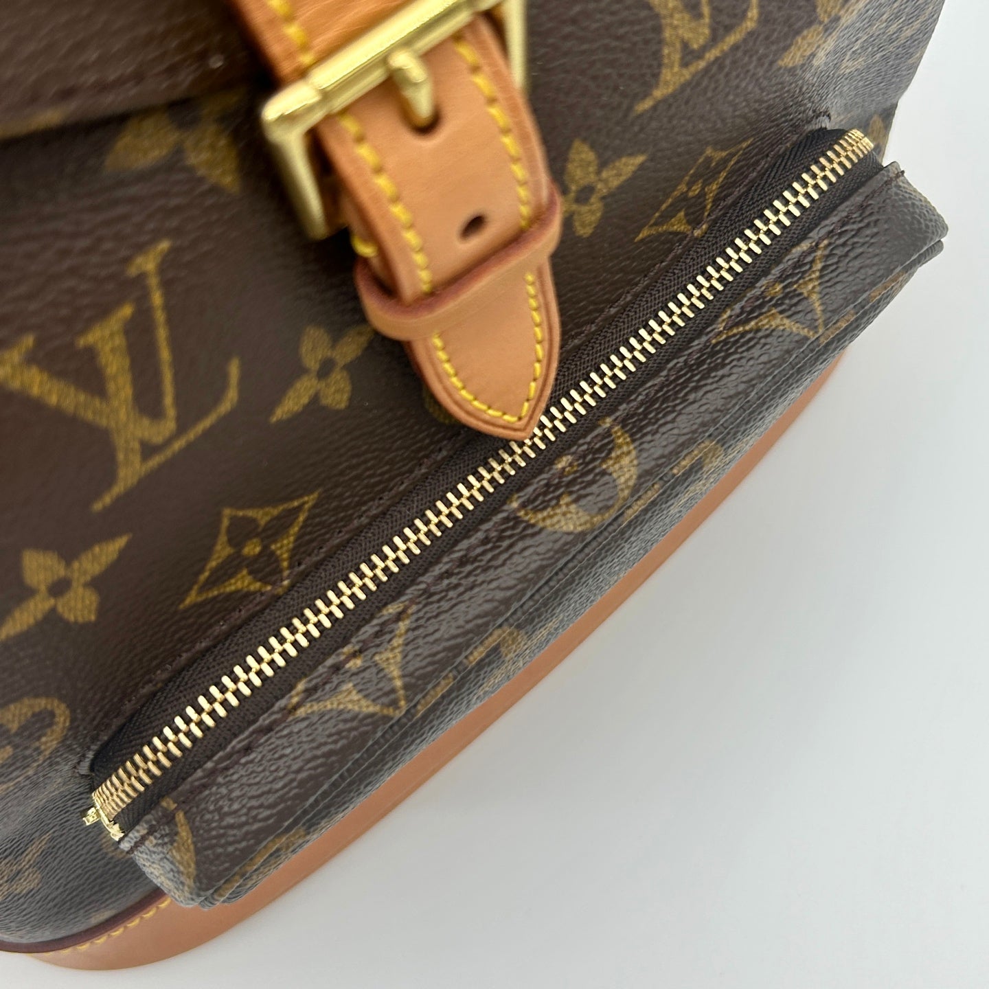 Louis Vuitton Monogram Montsouris MM Backpack [Used]