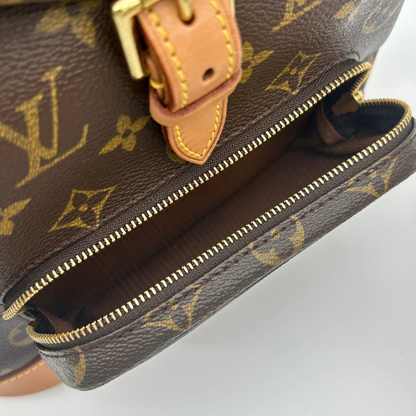 Louis Vuitton Monogram Montsouris MM Backpack [Used]