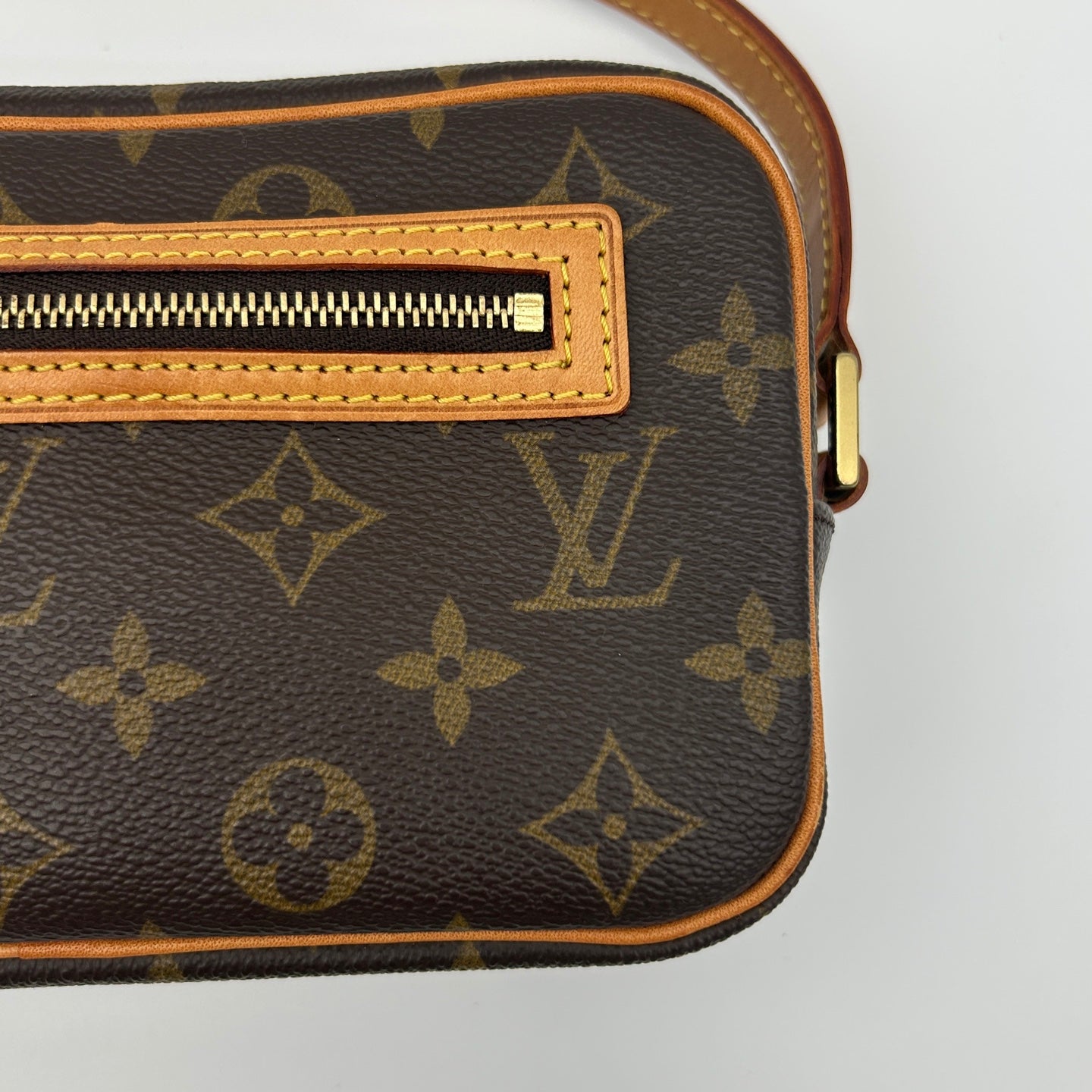 Louis Vuitton Monogram Pochette Accessories Shoulder Bag [Used]