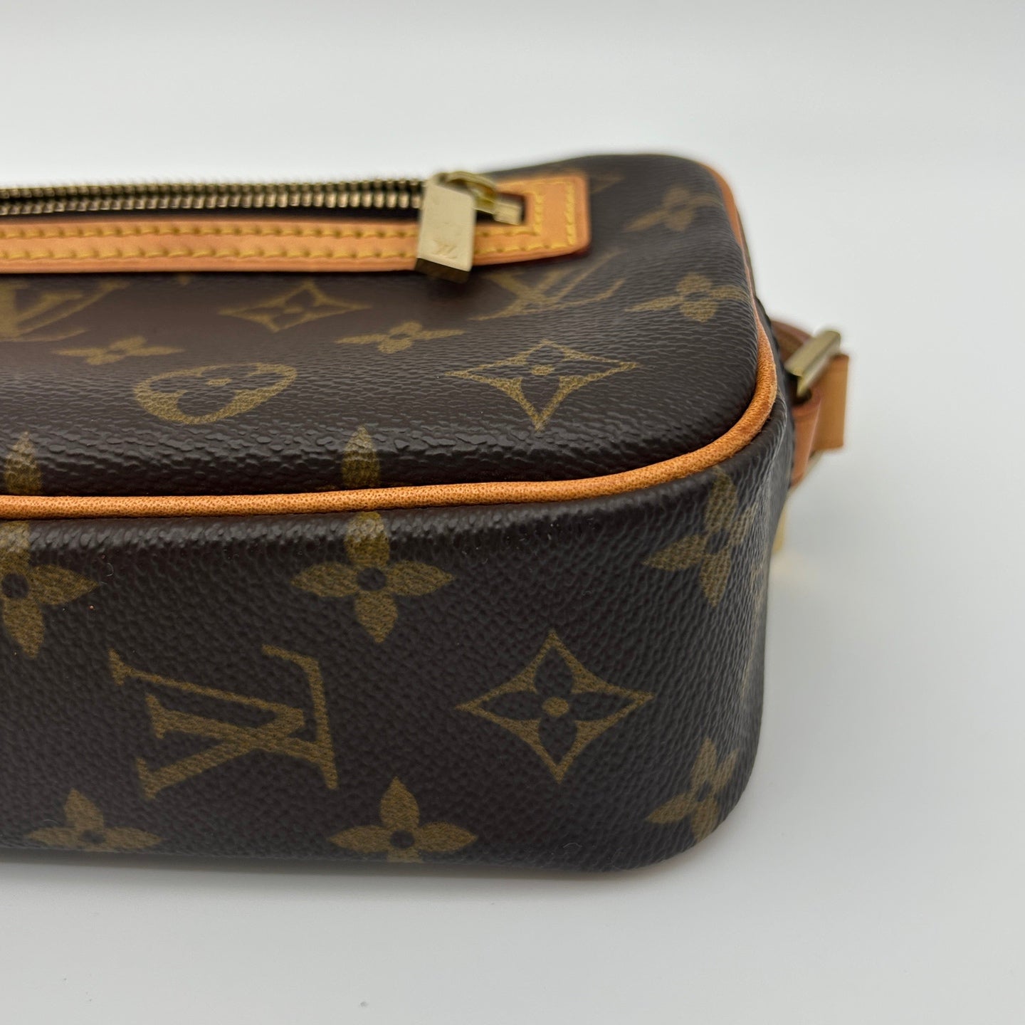 Louis Vuitton Monogram Pochette Accessories Shoulder Bag [Used]