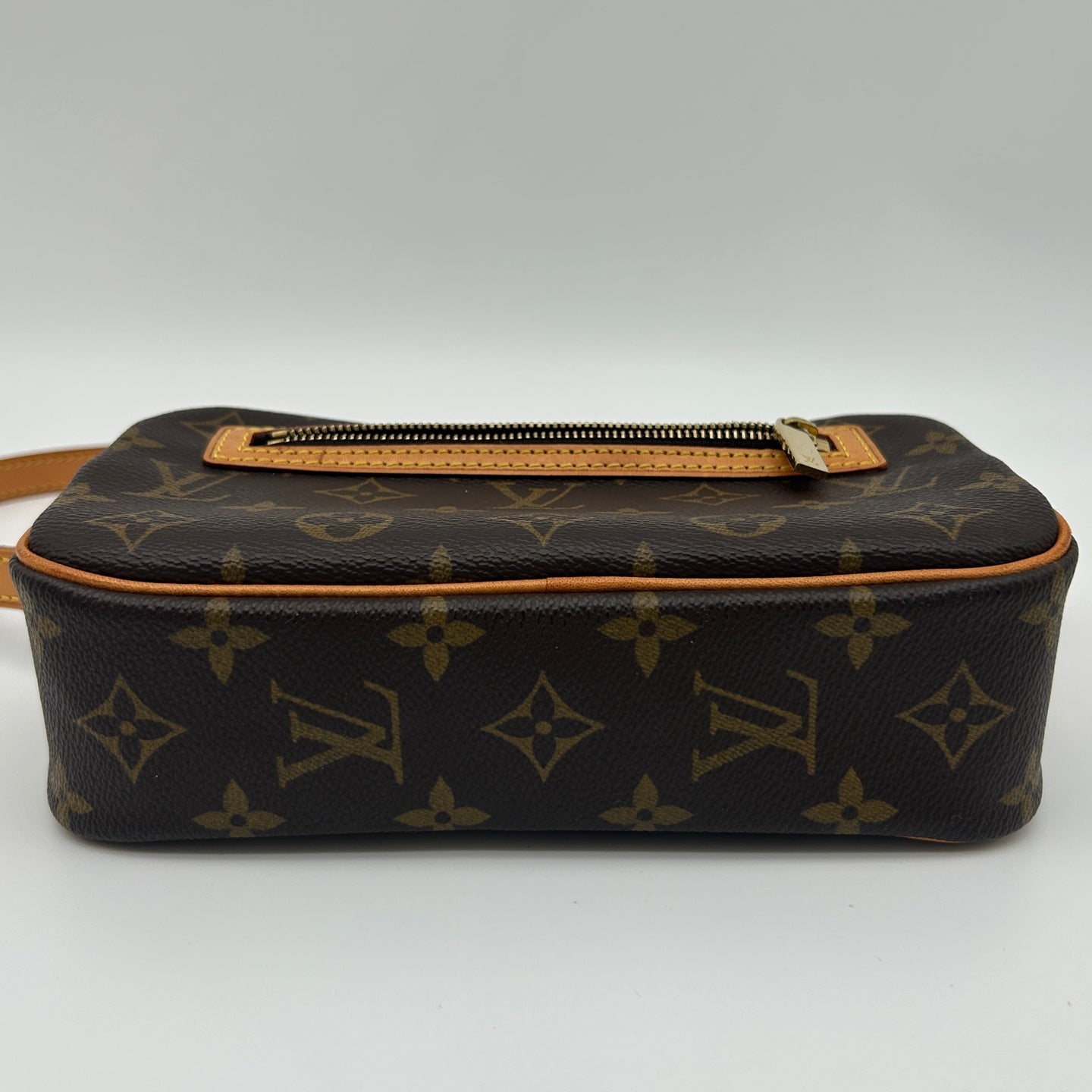 Louis Vuitton Monogram Pochette Accessories Shoulder Bag [Used]