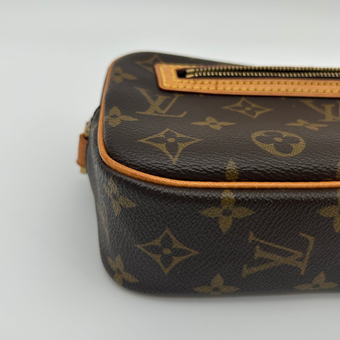 Louis Vuitton Monogram Pochette Accessories Shoulder Bag [Used]