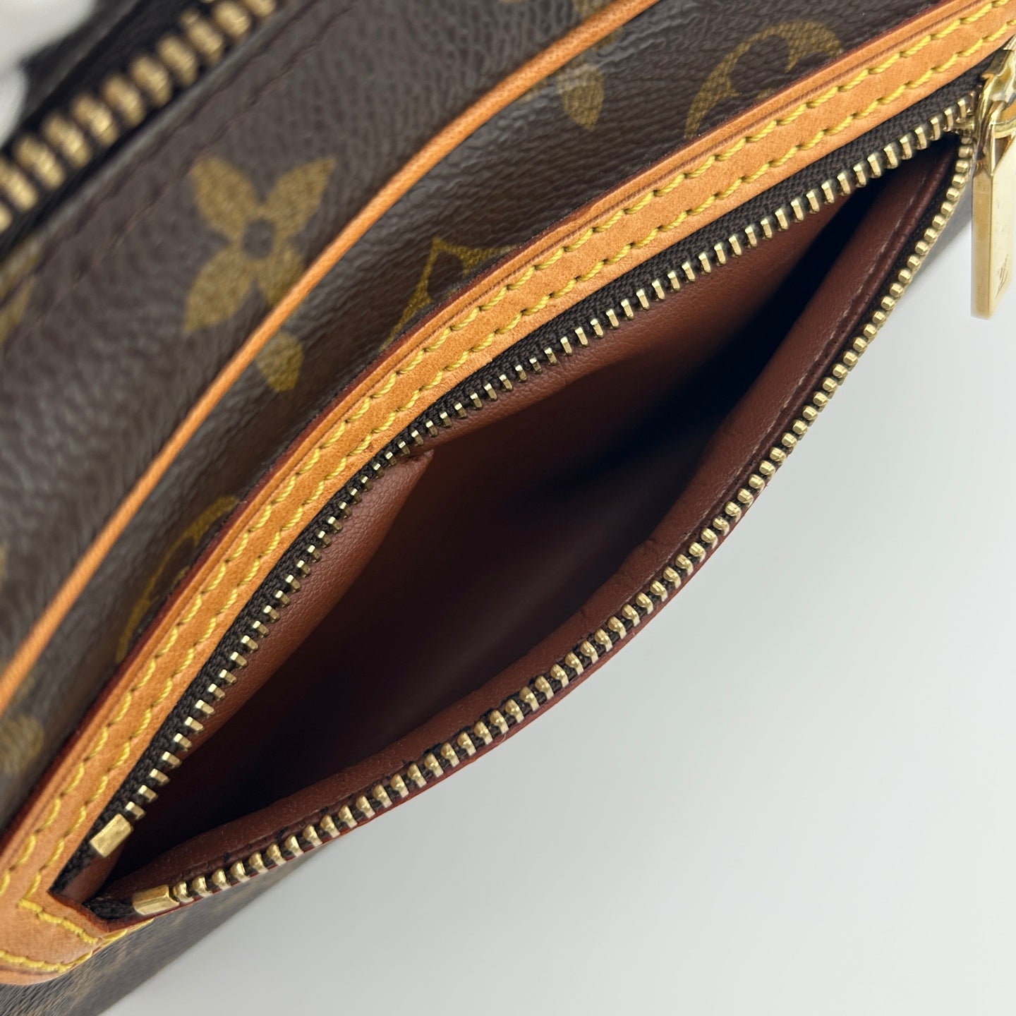 Louis Vuitton Monogram Pochette Accessories Shoulder Bag [Used]