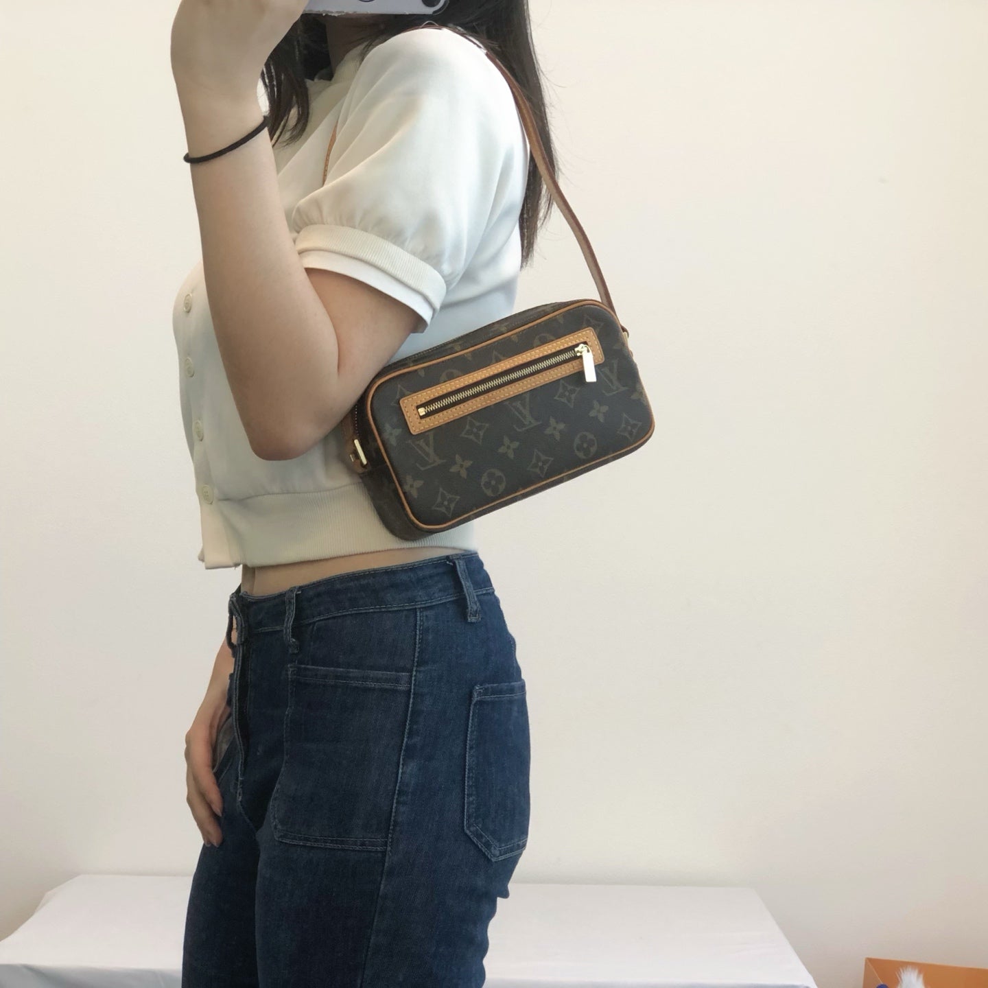 Louis Vuitton Monogram Pochette Accessories Shoulder Bag [Used]