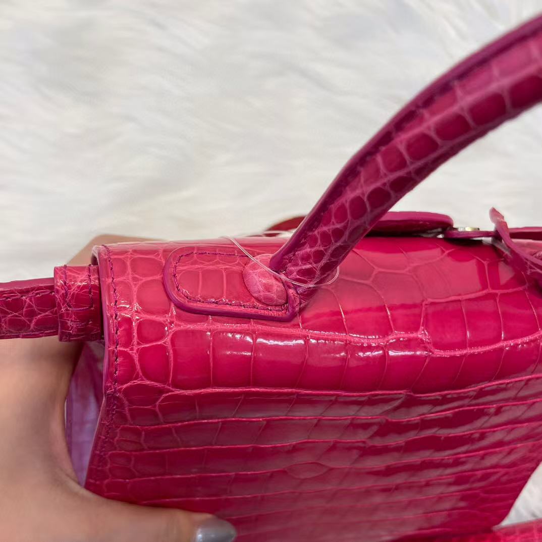 DELVAUX Crocodile Leather Pink Brilliant mini handbag 2Way Shouderbag Crocodile Leather [Used]