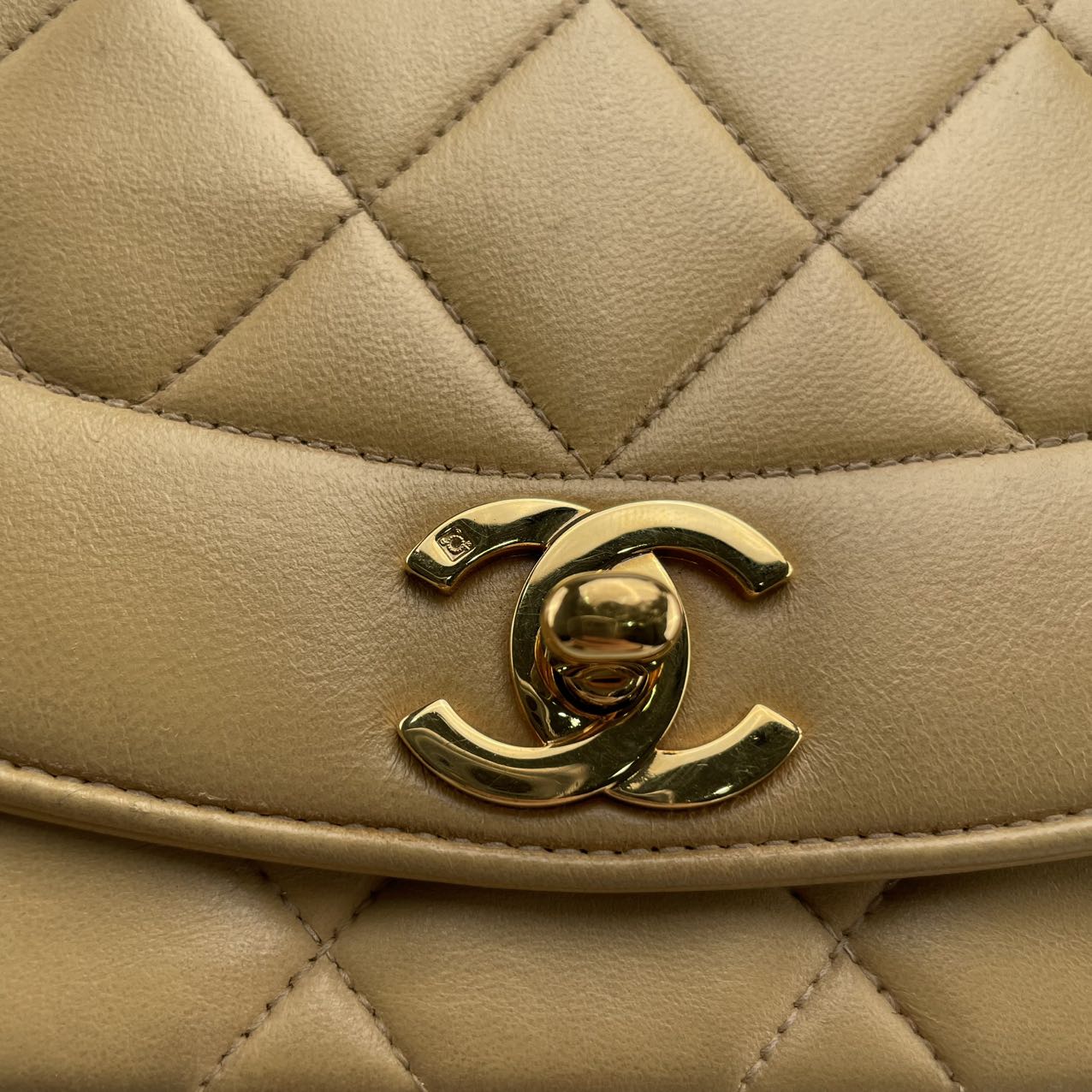 Chanel Small Lady Dior Style Bag [used]