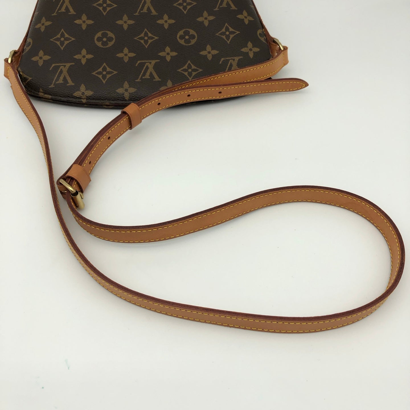 Louis Vuitton Monogram Canvas Drouot Bag [Used]