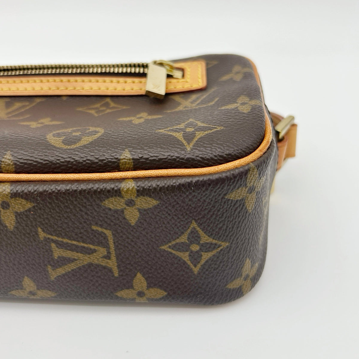 Louis Vuitton Monogram Pochette Accessories Shoulder Bag [Used]