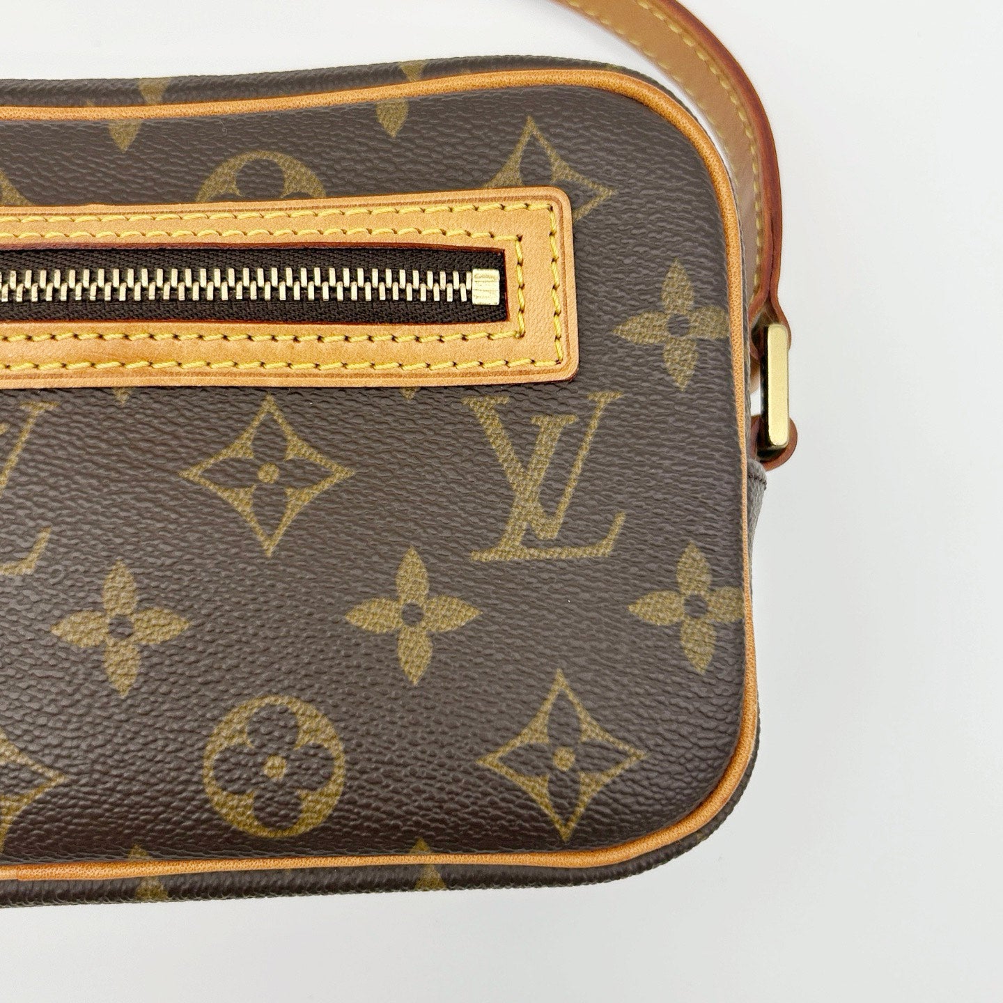 Louis Vuitton Monogram Pochette Accessories Shoulder Bag [Used]