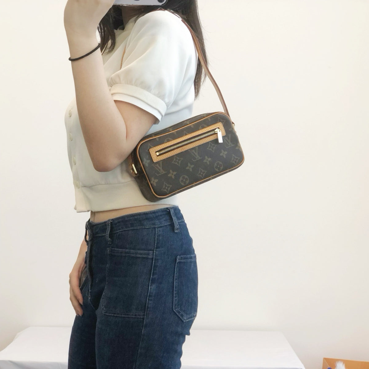 Louis Vuitton Monogram Pochette Accessories Shoulder Bag [Used]