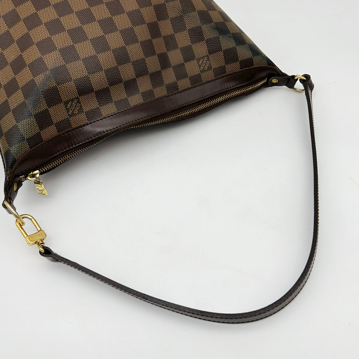 Louis Vuitton Damier Ebene Hobo Bag [Used]