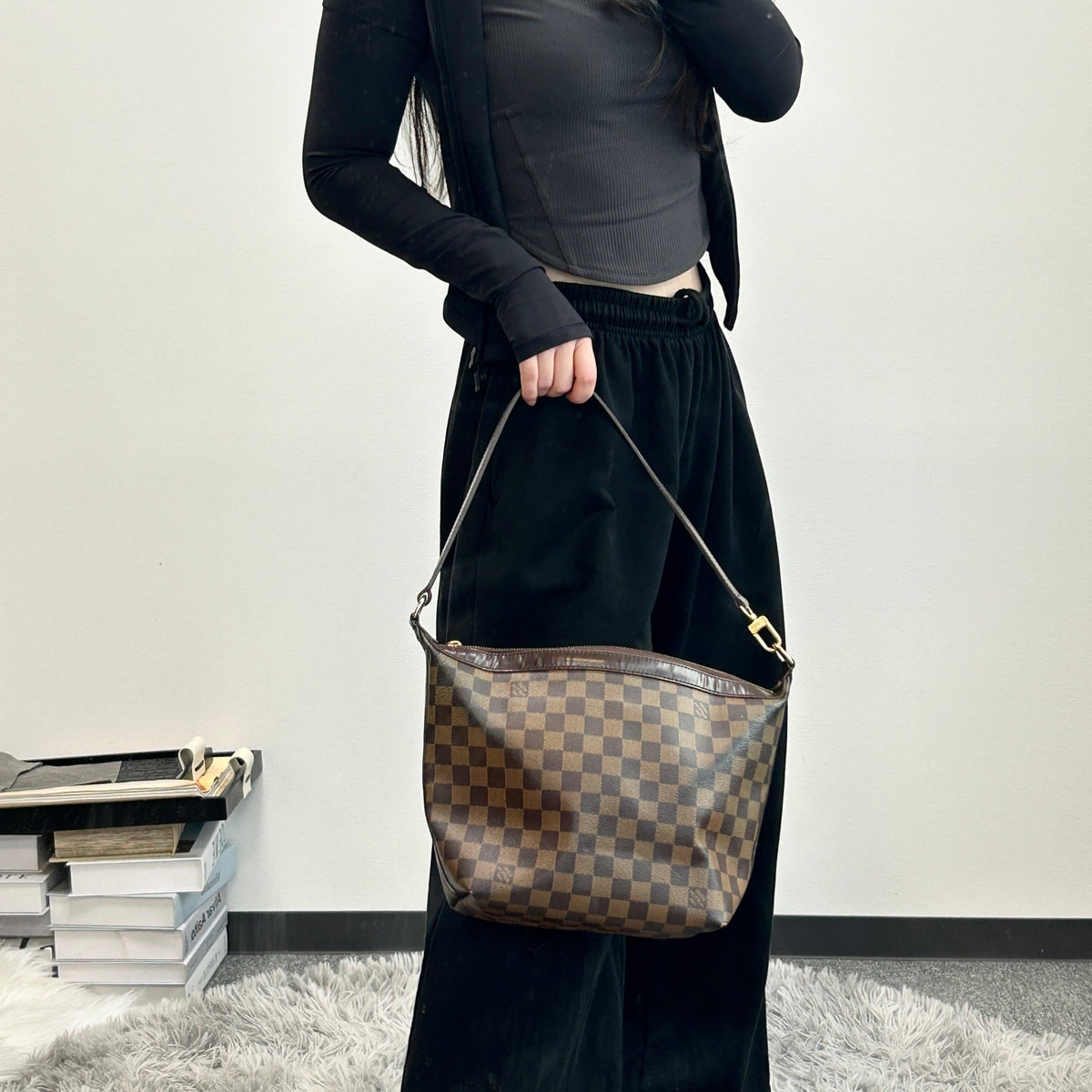 Louis Vuitton Damier Ebene Hobo Bag [Used]