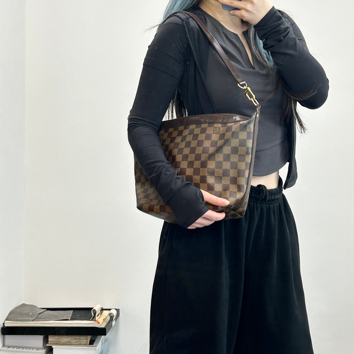 Louis Vuitton Damier Ebene Hobo Bag [Used]
