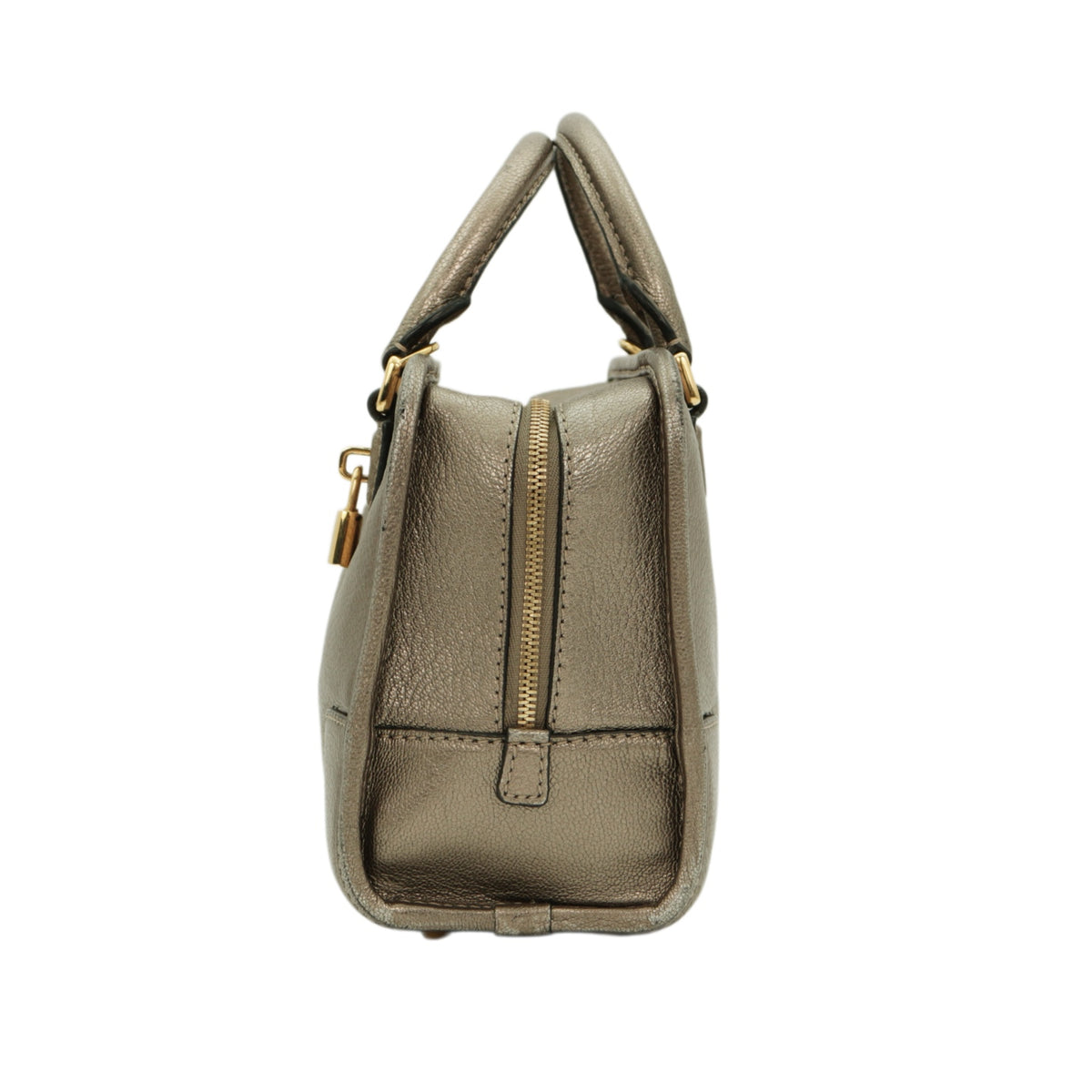 LOEWE Metallic Bronze Leather Amazona 22 Bag [Used]